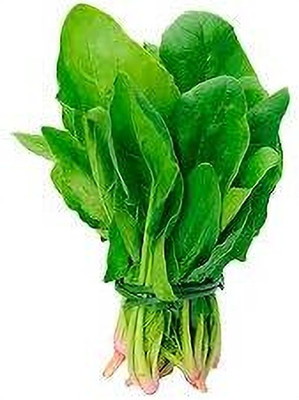 ARYAN EVERGREEN Spinach seeds Seed(10 g)