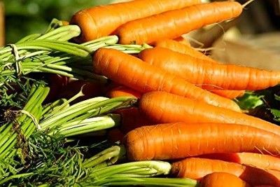 BDSresolve Carrot Orange F1 Hybrid Seeds For Home Gardening Pack of 122 Seed(122 per packet)