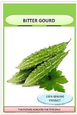 VibeX ® VMR-333 High Growth Hybrid Bitter Gourd (Karela) Seed(50 per packet)