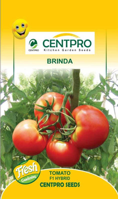 KRASHAK HYBRID TOMATO SEED, ROUND Seed(1 per packet)