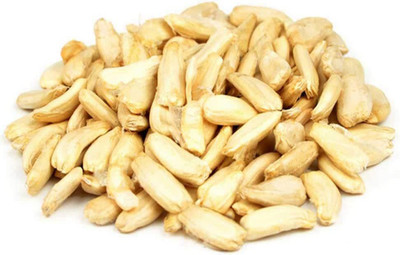 CYBEXIS Organic Bottle Gourd Seeds 400 Seeds Seed(400 per packet)