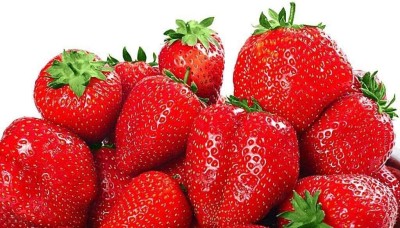 ActrovaX Sweet Organic Beauty Red Strawberry Fruit Climbing [3200 Seeds] Seed(3200 per packet)