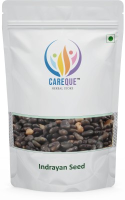 CareQue Indrayan Beej - Tumba Seeds -Bitter Apple Seeds - Citrullus colocynthis Seed(100 g)