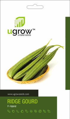 U-GROW INDIA F1 HYBRID RIDGE GOURD SEEDS: PREMIUM QUALITY FOR HIGH YIELD HARVESTS Seed(20 per packet)