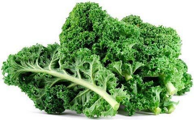 WILLVINE GOI -I Kale Seeds - Blue Curled Scotch/Vates [5g] Seed(1500 per packet)