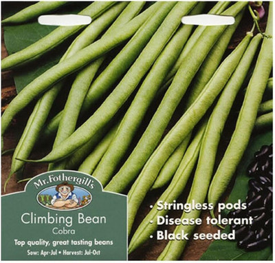 KNESSiN French Bean Seed(50 per packet)