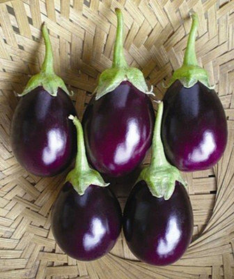 LPR brinjal Seed(10 per packet)