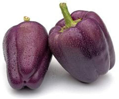 CYBEXIS Sweet Pepper Capsicum Seeds Bell Shaped 2400 Seeds Seed(2400 per packet)