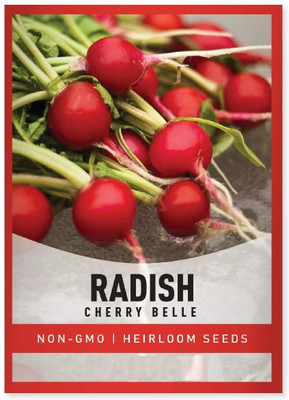 Biosnyg Radish Cherry Belle[500 Seeds] Seed(500 per packet)
