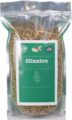 CYBEXIS NBIR-42 - Cilantro (Coriandrum sativum) - (750 Seeds) Seed(750 per packet)