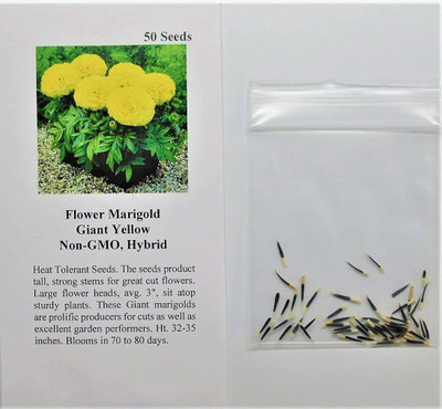 CYBEXIS ATS-16 - Marigold Giant Yellow - (250 Seeds) Seed(250 per packet)