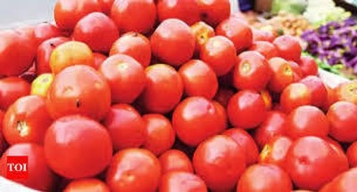 Oliver hybrid f1 quality tomato Seed(100 per packet)