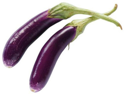 KNESSiN Shubhra F1 Hybrid Brinjal ( Seeds) Seed(2000 per packet)