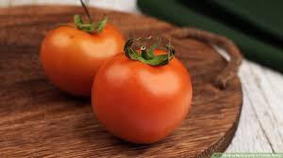 XOLDAA hybrid f1 quality tomato seeds Seed(35 per packet)
