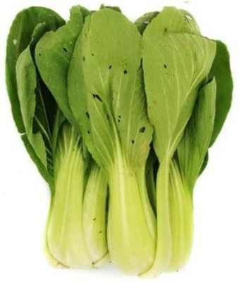 Quentova Organic Siew Pak Choy-VK-4X Seed(300 per packet)