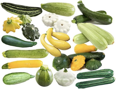 Qualtivate FXL-5AT Zucchini and Squash Mix Seeds Seed(30 per packet)