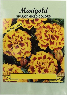 VibeX ® XLR-571 Premium Marigold Seeds Mix Seed(500 per packet)