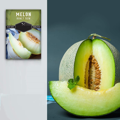 Qualtivate GXL-6AT Honeydew Musk Melon Seed for Planting Seed(200 per packet)