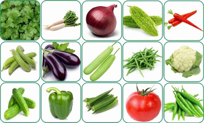 Vermag 15 variety vegetable, seeds combo pack, with instruction manual Seed(50 per packet)