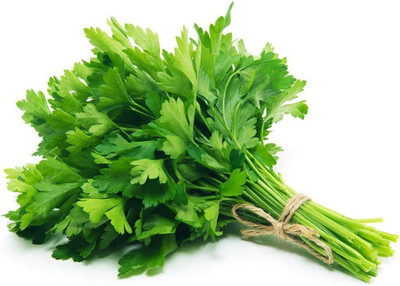 CYBEXIS LX-64 - Green Italian Flat Leaf Parsley - (250 Seeds) Seed(250 per packet)