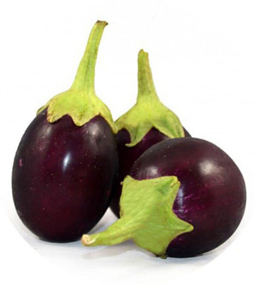 LPR brinjal Seed(500 per packet)