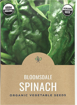 CYBEXIS XLR-91 - Spinach Bloomsdale - (2250 Seeds) Seed(2250 per packet)