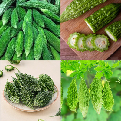 ibains Bitter gourd seeds combo 18 Seed(18 per packet)