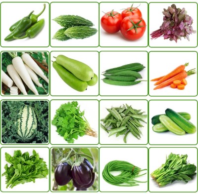 CRGO Vegetable Seeds Combo Pack - 16 Variety of Hybrid Vegetables Seed for Planting Seed(4200 per packet)