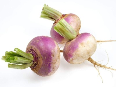 Aywal Turnip Shalgam White Purple Seed(600 per packet)