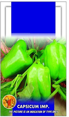 CYBEXIS GBPUT-10 - Capsicum Green - (1350 Seeds) Seed(1350 per packet)