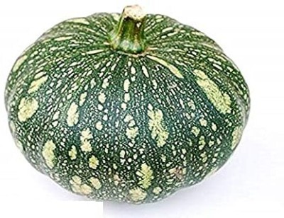 Qualtivate PUA-8A Pumpkin for Organic Farming Seed(50 per packet)