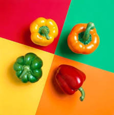 fixeded MIX CAPSICUM SEEDS & PLANT CARNIVAL A COLORFUL MIX FOR YOUR GARDEN Seed(45 per packet)