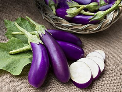 Aro Brinjal purple long, Brinjal, Eggplant Seed(250 per packet)