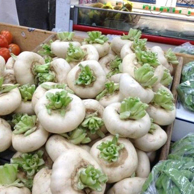 CYBEXIS Cherry Radish Seeds 2400 Seeds Seed(2400 per packet)