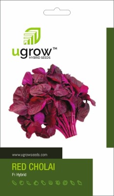 U-GROW INDIA THE ENIGMATIC TALE OF THE BLACK ROUND BRINJAL SEEDS & PLANT Seed(70 per packet)