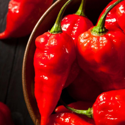 Biosnyg Heirloom Bhut Jolokia Ghost Chilli Seeds for Terrace Gardening-(4000 Seeds) Seed(4000 per packet)