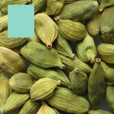 Qualtivate VVI-93 CARDAMOM Alpinia Oxyphylla Tree Seeds Seed(50 per packet)
