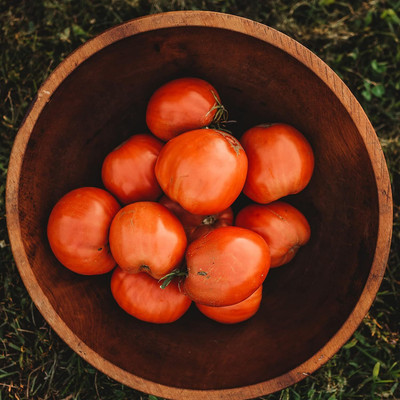 KNESSiN High Yield Italian Oxheart Tomato Summer Seeds For Gardening - (1000 Seeds) Seed(100 per packet)