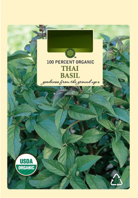 VibeX ® LXI-92 Thai Basil Sweet Large Leaf Seed(1000 per packet)