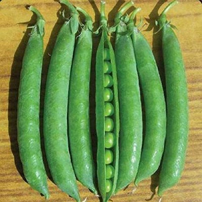 Aywal Pea (Organic) - Green Arrow Seed(375 per packet)