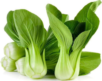 WILLVINE MAH -II Baby Bok Choy/Pak Choy Chinese Cabbage [50g] Seed(15000 per packet)