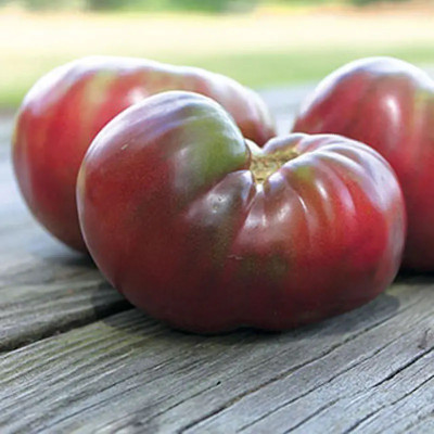 CYBEXIS Cherokee Purple Tomatoes2000 Seeds Seed(2000 per packet)