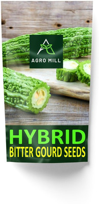 AGRO MILL HYBRID F1 PREMIUM QUALITY BITTER GOURD/KARELA SEEDS FOR HOME KITCHEN GARDEN Seed(15 per packet)