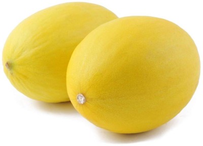 Qualtivate HUA-6A Muskmelon - Yellow Melon Seeds Seed(200 per packet)