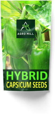 AGRO MILL HYBRID F1 PREMIUM QUALITY CAPSICUM/SHIMLA MIRCH FOR HOME KITCHEN GARDEN Seed(30 per packet)