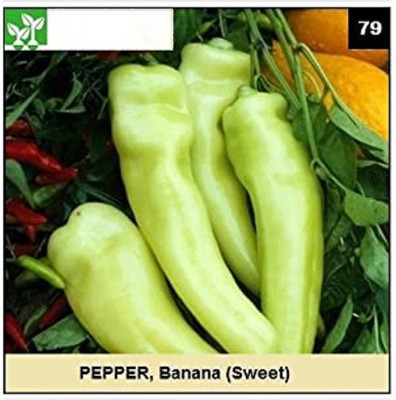CYBEXIS BANANA (SWEET) PEPPER600 Seeds Seed(600 per packet)