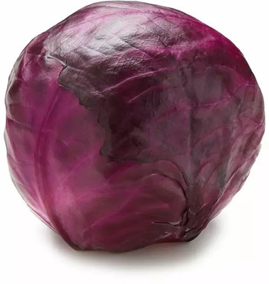 MYLAWN Purple Red Cabbage Seed(500 per packet)
