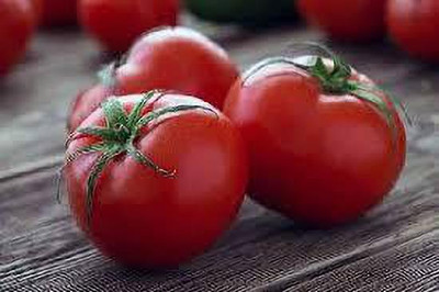 Oliver HYBRID F1 QUALITY TOMATO SEEDS Seed(20 per packet)