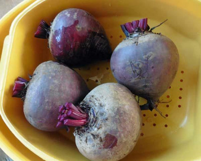 MYLAWN Beetroot Seed(200 per packet)