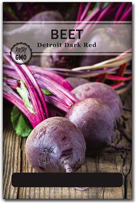 Biosnyg NDIR-81 Dark Red Beetroot Seed-[200 Seeds] Seed(200 per packet)